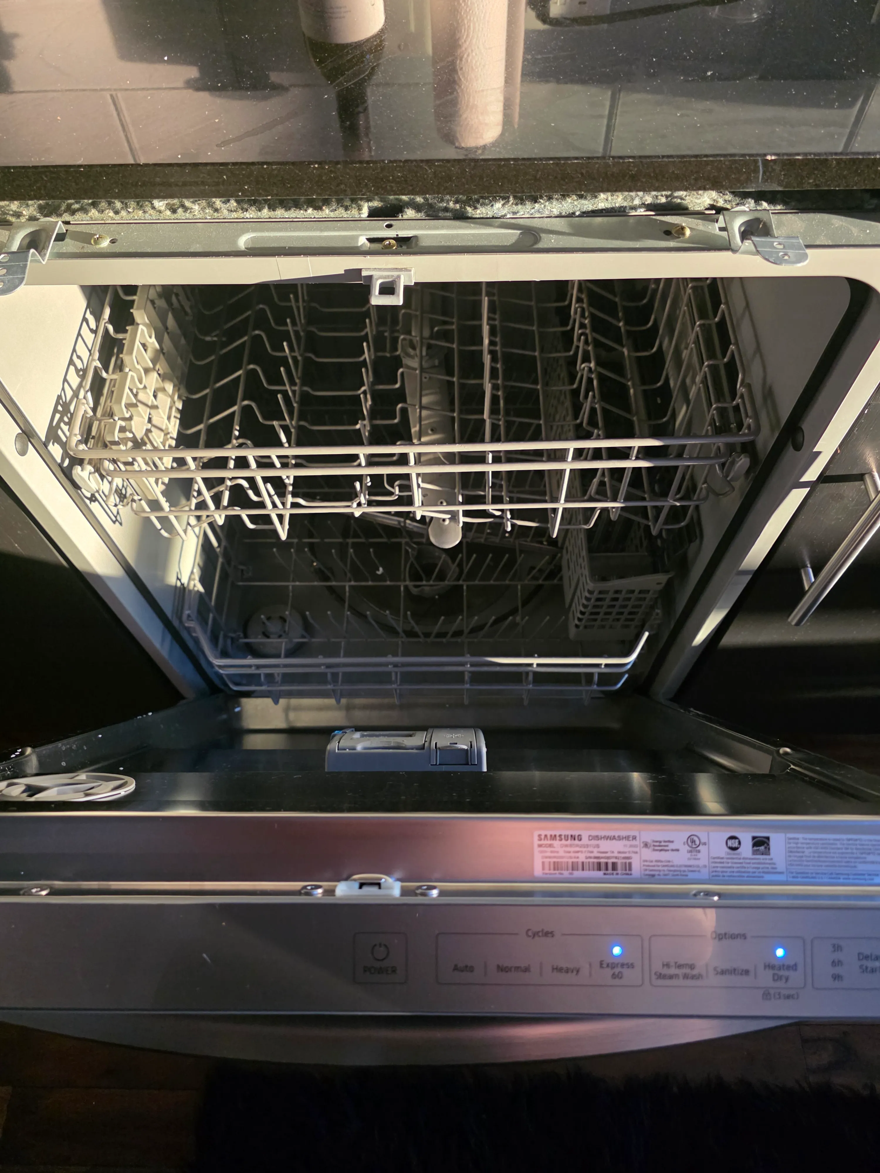 Dishwasher door latch and door gasket inspection for leaks