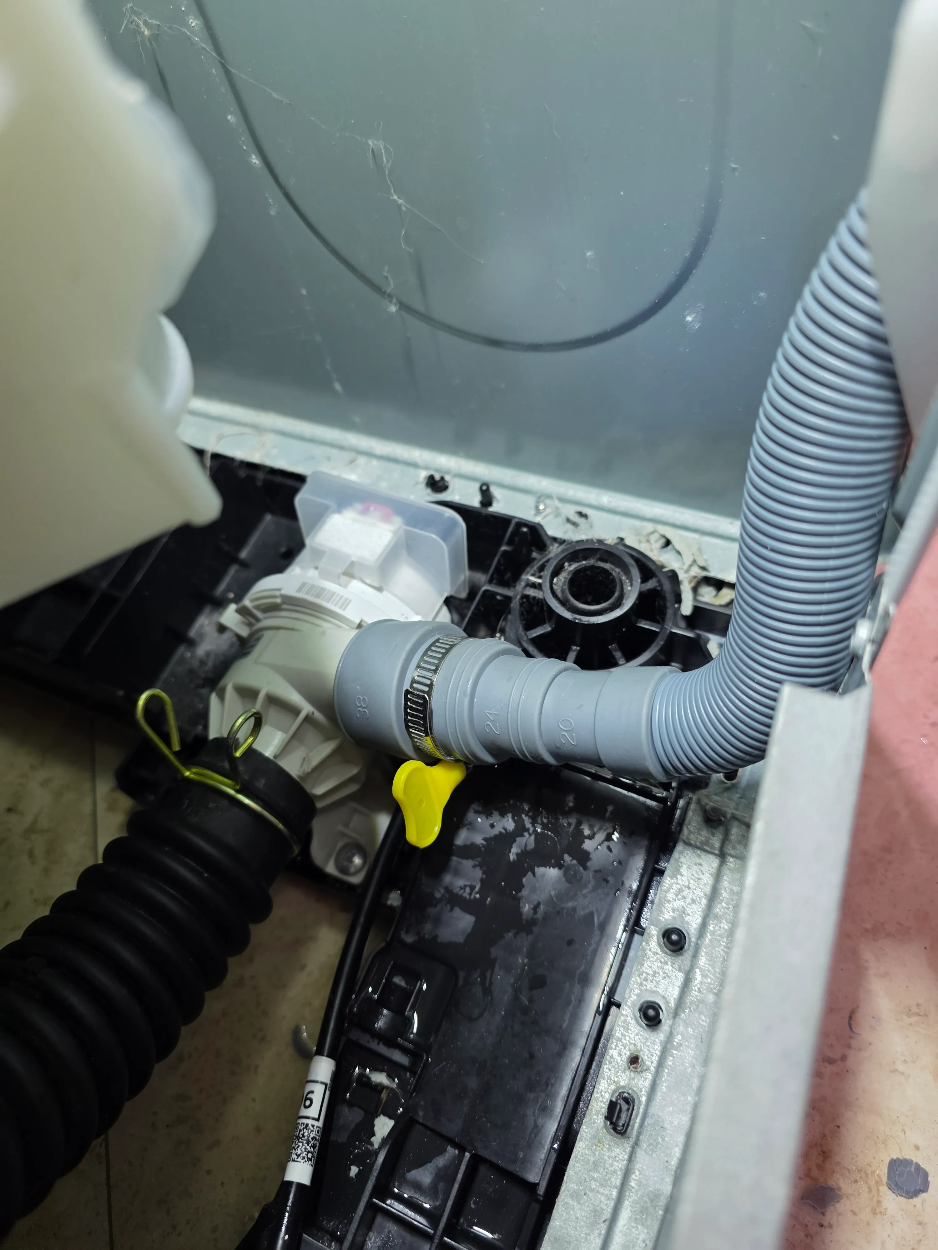 Washer drain pump diagnostics and inspection during repair service